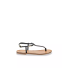 HARVIL - Les Tropeziennes